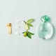 ACQUA DI GIOIA  50ml-127939 3