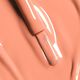 LE VERNIS   5
