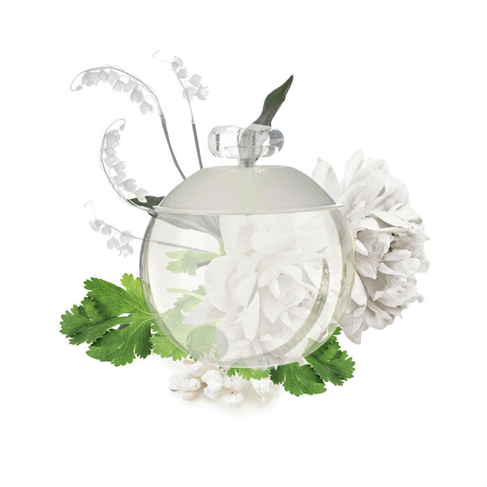 NOA  100ml-62697 1