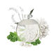 NOA  100ml-62697 1