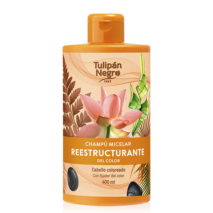 Champú Micelar Reestructurante del Color  400ml-198924 1