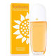 Sunflowers  30ml-55016 1