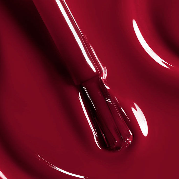 LE VERNIS   1