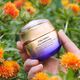 Vital Perfection Uplifting and Firming Advanced Cream Soft  50ml-226991 4