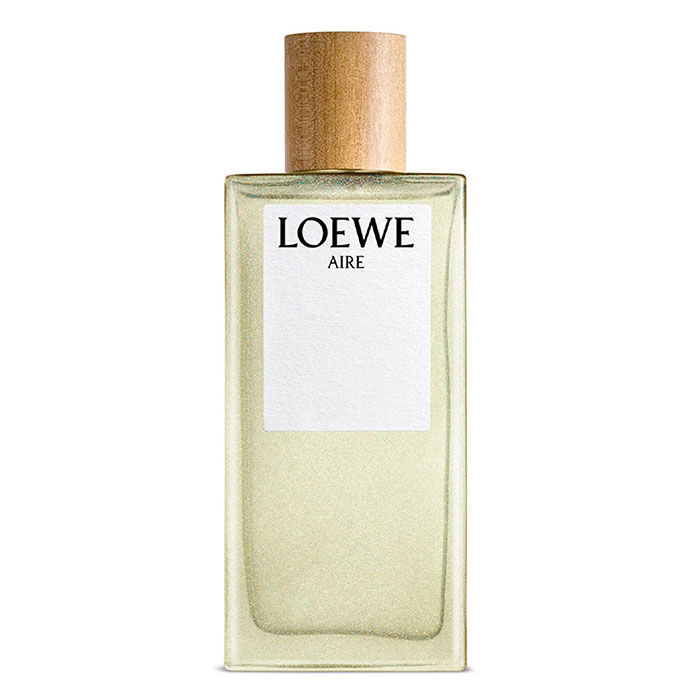 AIRE DE LOEWE  