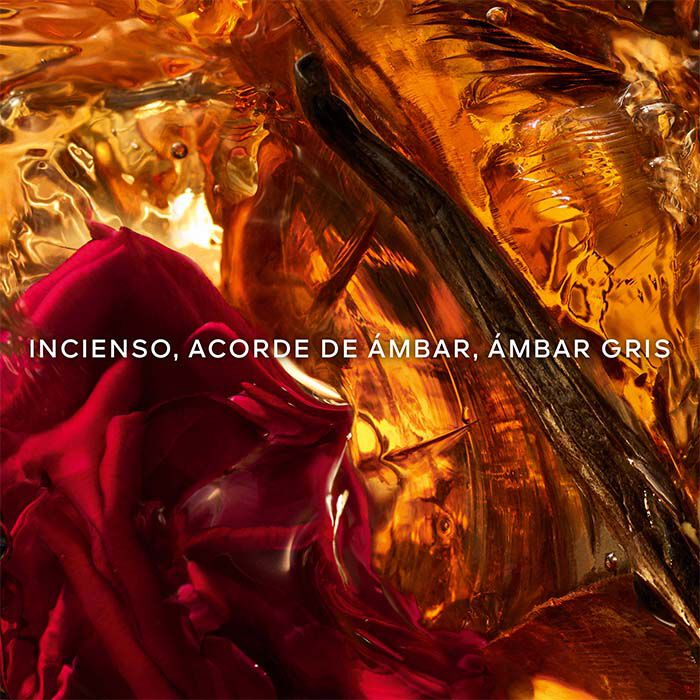 Absolus Allegoria Ambre Samar  125ml-229359 2