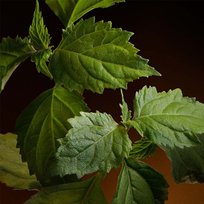 THE ONE GOLD For Men  100ml-223834 5