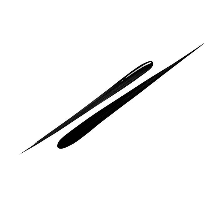 LE LINER DE CHANEL   1