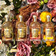 Aqua Allegoria Forte Oud Yuzu  125ml-214070 8
