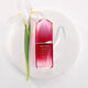 Ultimune Power Infusing Concentrate  50ml-201919 2