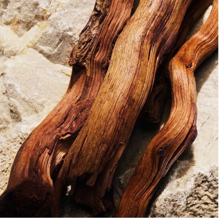 LIGHT BLUE EDP  100ml-237166 5