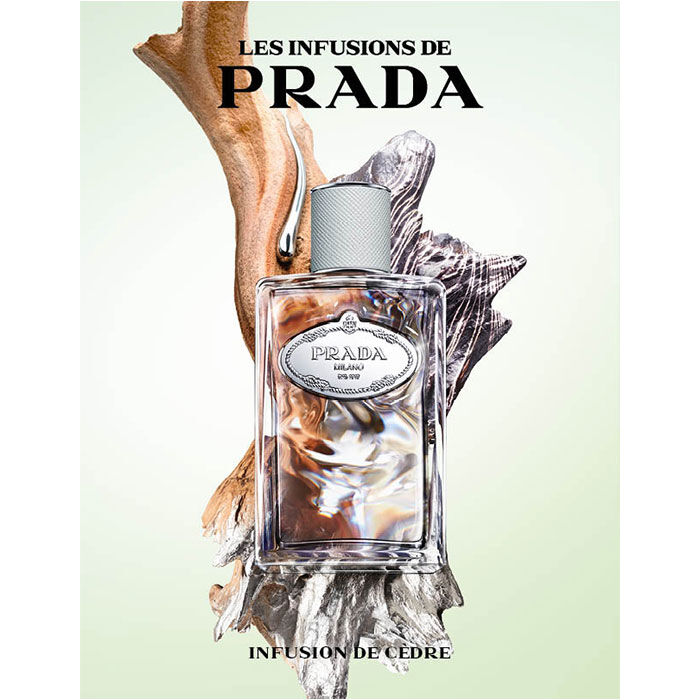 Infusion de Cèdre  100ml-154056 3