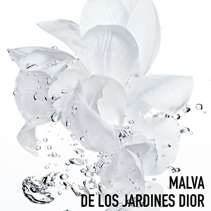 DIOR HYDRA LIFE Crème Sorbet Fraîcheur  50ml-203501 4