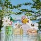 DAISY WILD  50ml-218281 4