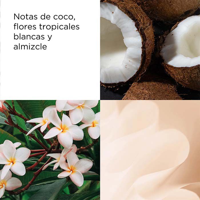 Green Tea Coconut Breeze  100ml-235894 2