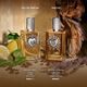 DEVOTION For Men Parfum  100ml-232088 8