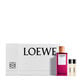 EARTH Cofre  100ml-213471 0