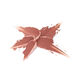 Shine Bomb Barra de Labios   1