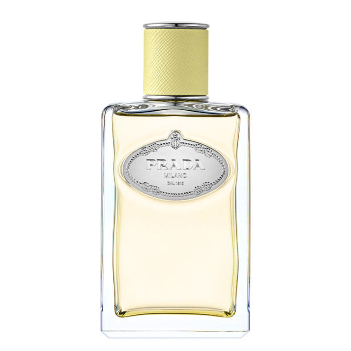 Infusion de Gimgembre  100ml-218057 4