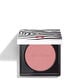 Le Phyto-Blush   4
