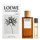 POUR HOMME Icono  150ml-204508 1