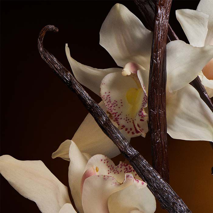 THE ONE  50ml-209934 5