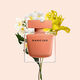 NARCISO AMBRÉE  90ml-192571 2