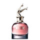 SCANDAL  50ml-201690 5