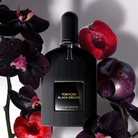 Black Orchid EDT  100ml-211088 1
