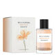 Esencia de Luz Radiante  100ml-208376 1