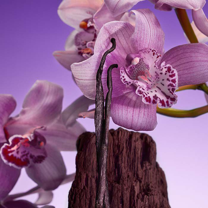 EUPHORIA BOLD ELIXIR  100ml-235551 2