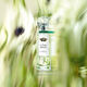L'Eau Rêvée d'Alma  100ml-210033 2