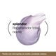 SPLENDOR 10 NOCHE REGENERADOR TOTAL  50ml-165731 1