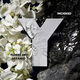 Y MEN  100ml-202253 2