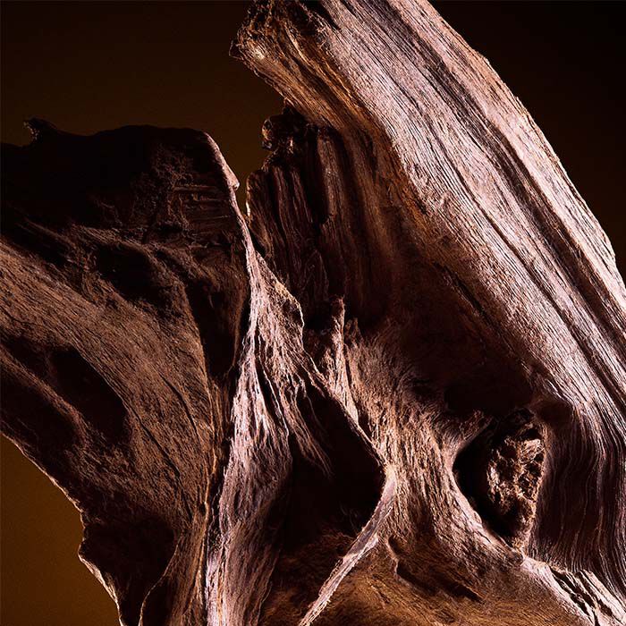 THE ONE For Men  100ml-209940 5