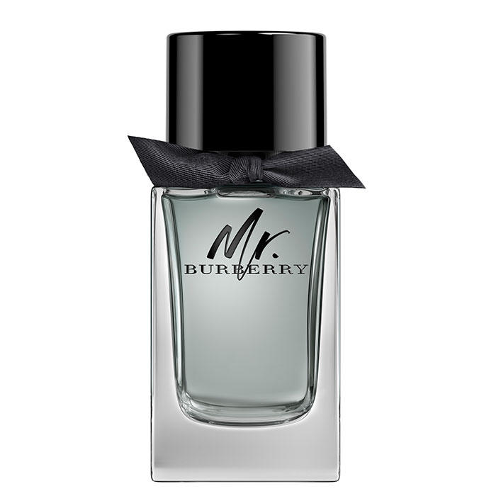 BURBERRY MR. BURBERRY EDT