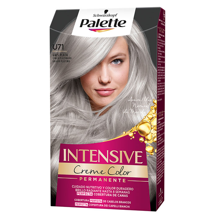 Palette Intensive Creme Color Nº U71 Gris Plata